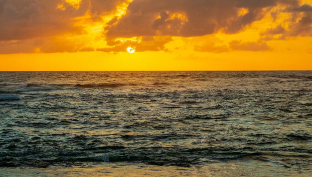 Paseo en barco al amanecer - Foto 4
