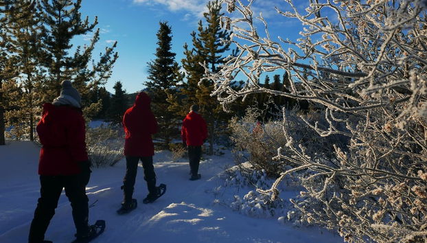 Whitehorse Snowshoeing Tour - Foto 3