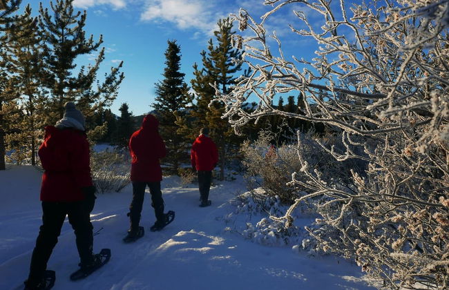 Whitehorse Snowshoeing Tour - Photo 3