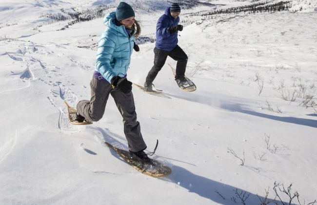 Whitehorse Snowshoeing Tour - Photo 1