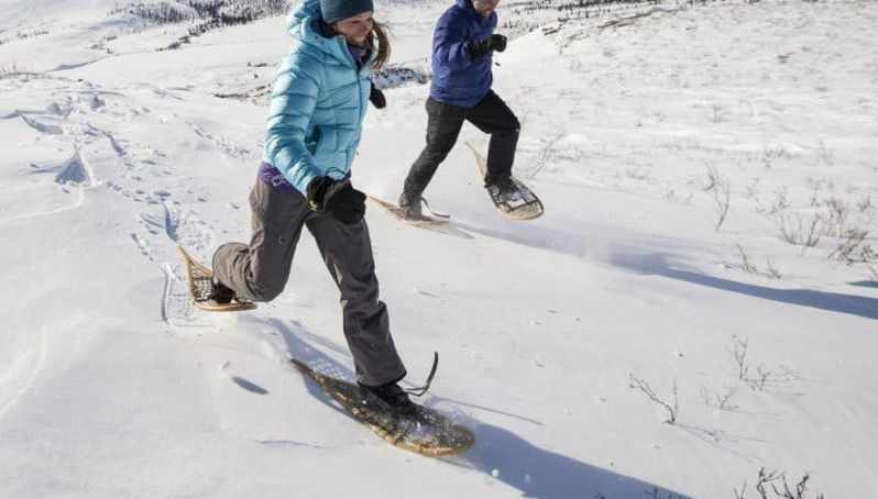Whitehorse Snowshoeing Tour - Foto 1