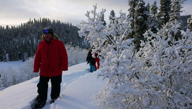 Whitehorse Snowshoeing Tour - Foto 2