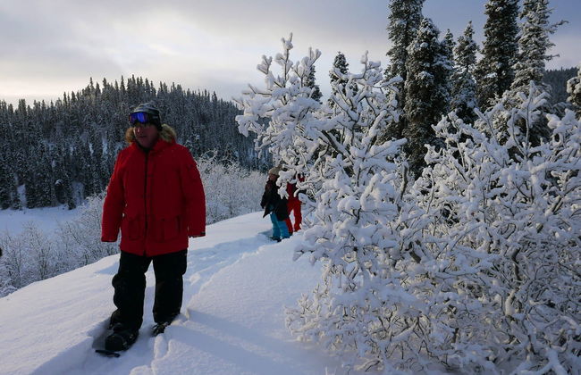 Whitehorse Snowshoeing Tour - Photo 2