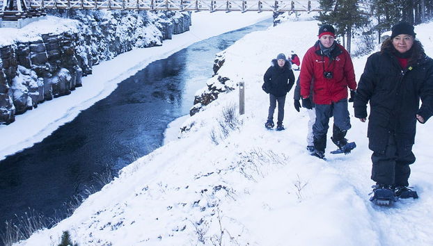 Whitehorse Snowshoeing Tour - Foto 4