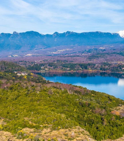 Foto de Excursión privada a Pucón