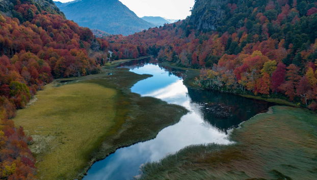 Escursione privata a Pucón - Foto 2