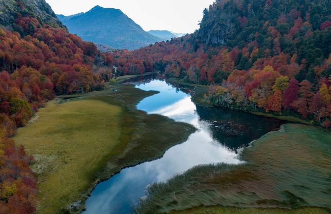 Escursione privata a Pucón - Foto 2