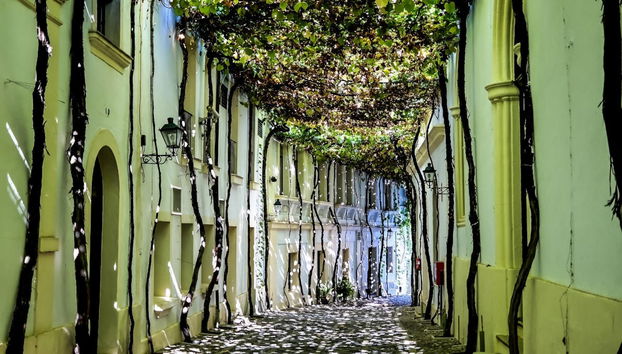 Excursão a Jerez de la Frontera - Foto 2