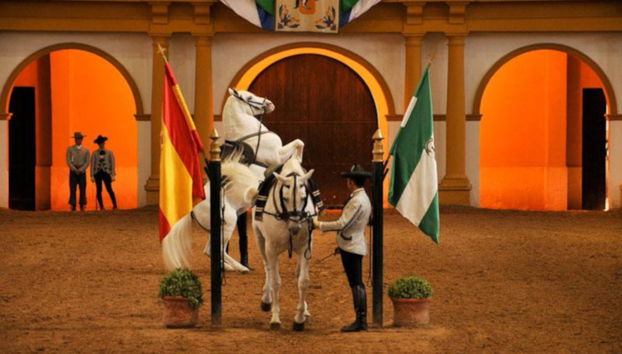 Excursão a Jerez de la Frontera - Foto 5