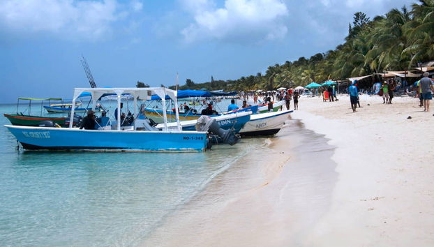 Snorkelling & Dolphin Watching in West Bay - Foto 2