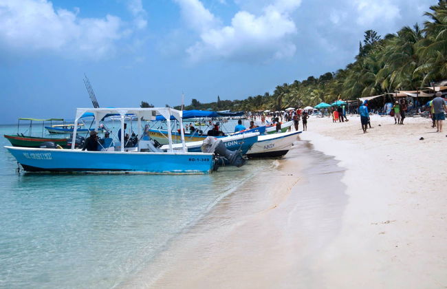 Snorkelling & Dolphin Watching in West Bay - Foto 2