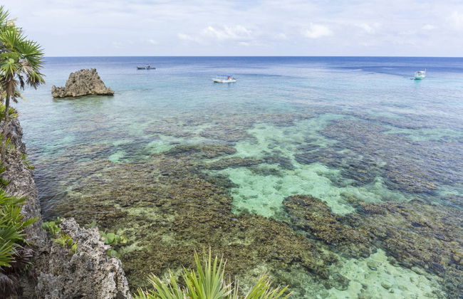 Snorkelling & Dolphin Watching in West Bay - Foto 4