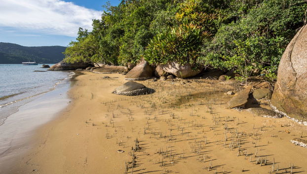 Excursion à Saco do Mamanguá - Photo 2