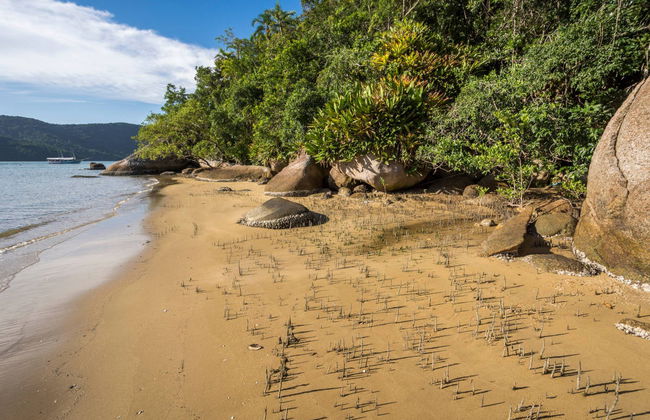 Excursion à Saco do Mamanguá - Photo 2