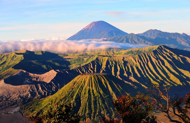 Mount Bromo Volcano Private Tour - Photo 1