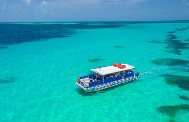Avistamento de golfinhos em Key West - Foto 3