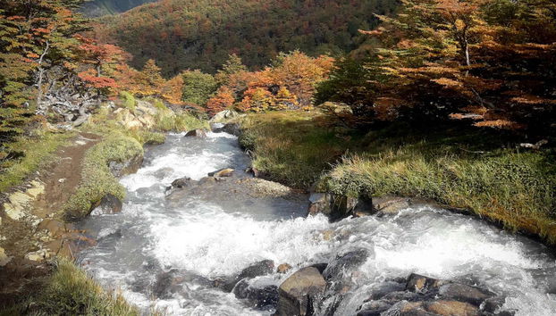 Trekking por el glaciar Vinciguerra - Foto 5