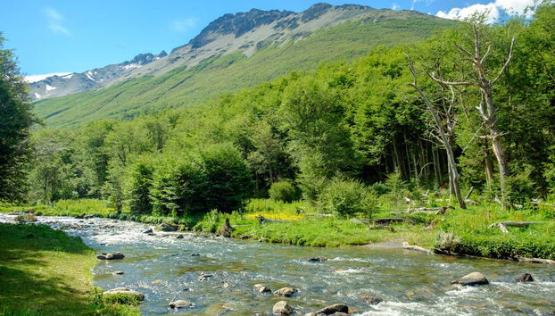 Trekking por el glaciar Vinciguerra - Foto 2