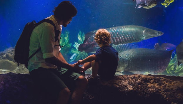 City of Arts and Sciences Ticket and Guided Tour - Photo 2