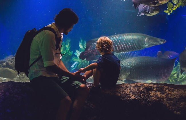 City of Arts and Sciences Ticket and Guided Tour - Photo 3