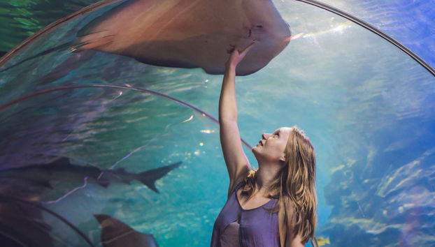 City of Arts and Sciences Ticket and Guided Tour - Photo 3