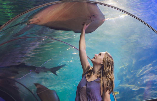 City of Arts and Sciences Ticket and Guided Tour - Photo 1