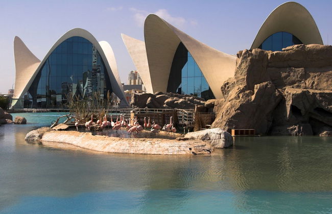 City of Arts and Sciences Ticket and Guided Tour - Photo 2