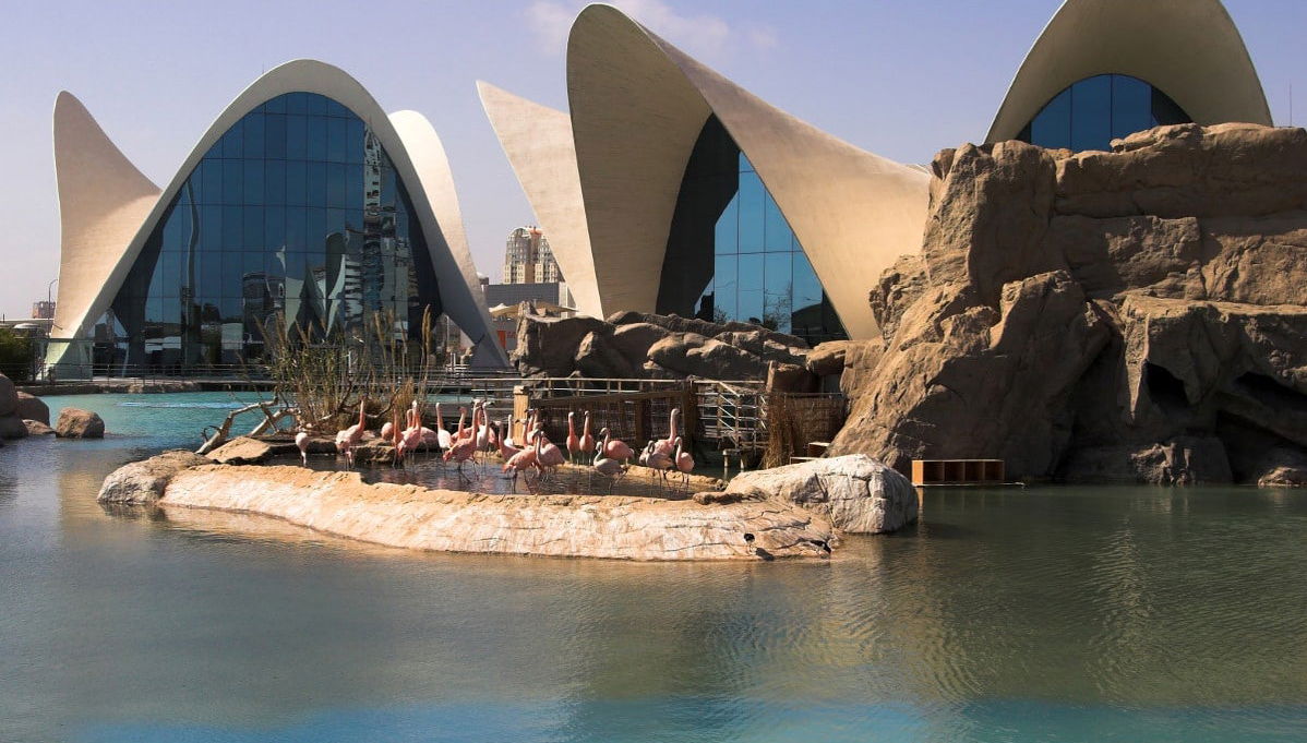 City of Arts and Sciences Ticket and Guided Tour - Photo 1