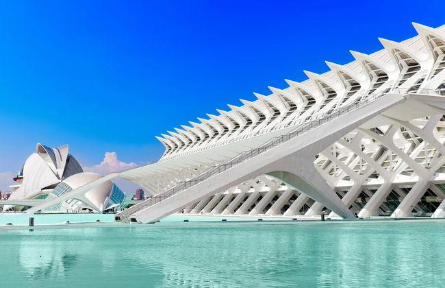 City of Arts and Sciences Ticket and Guided Tour - Photo 4