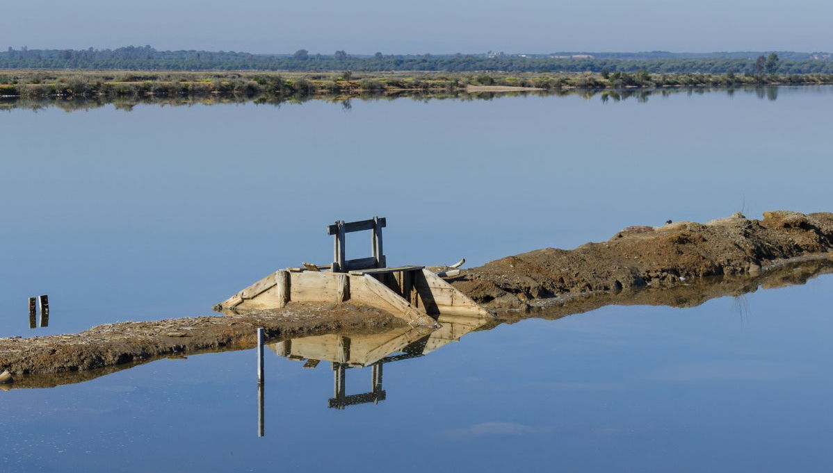 Balade en bateau à Punta Umbría au coucher de soleil - Photo 1