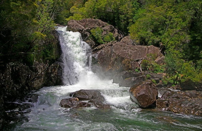 Escursione al Cerro Tronador - Foto 3