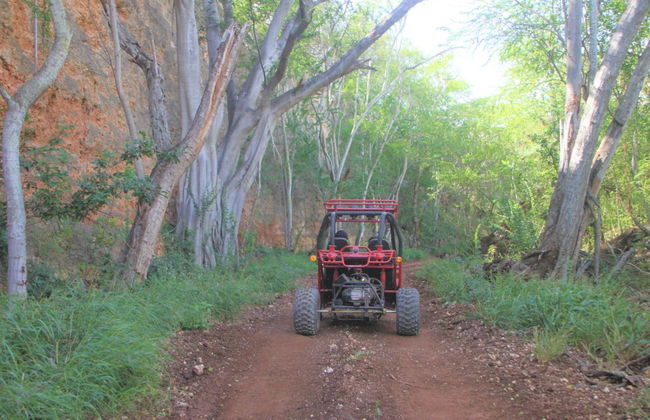 Tour en buggy por Kapolei - Foto 4