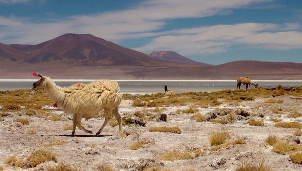 Explore the breathtaking landscapes in Huasco