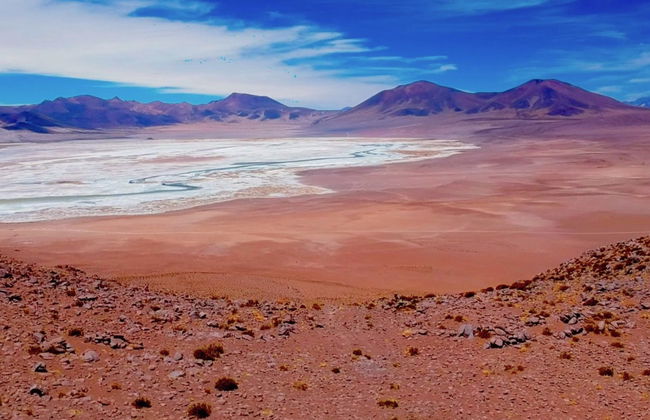 Day Trip to the Huasco Salt Flats + Tambillo - Photo 3