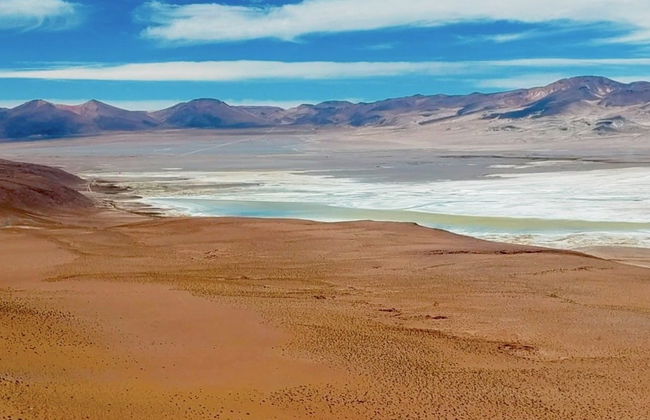 Day Trip to the Huasco Salt Flats + Tambillo - Photo 2