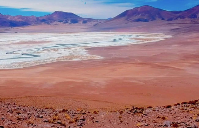 Day Trip to the Huasco Salt Flats + Tambillo - Photo 8