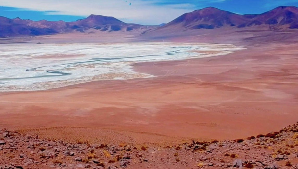 Day Trip to the Huasco Salt Flats + Tambillo
