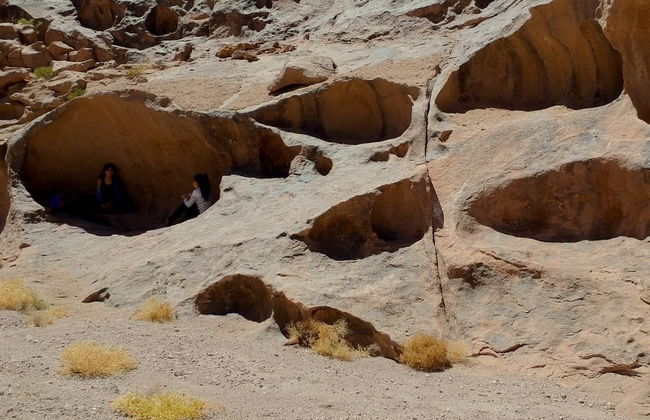 Day Trip to the Huasco Salt Flats + Tambillo - Photo 5