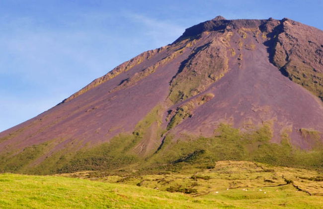 Visite des volcans et des lacs de Pico - Photo 1
