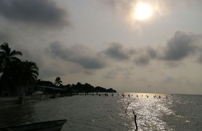 Paseo en lancha por la laguna de Términos - Foto 6
