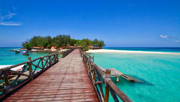 Escursione a Prison Island e alla spiaggia di Nakupenda - Foto 3