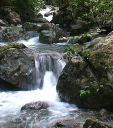 Foto de Senderismo por el Parque Natural La Estanzuela