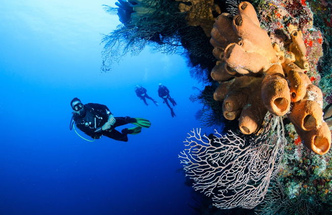 PADI Discover Scuba Diving Course - Foto 1