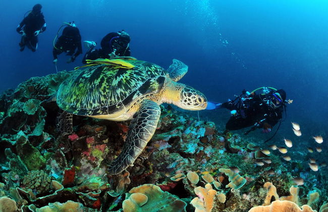 PADI Discover Scuba Diving Course - Foto 3