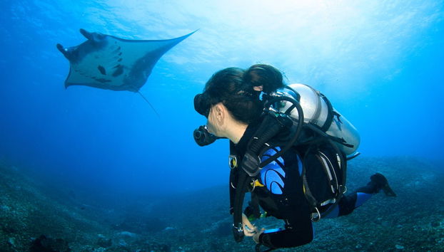 PADI Discover Scuba Diving Course - Foto 2