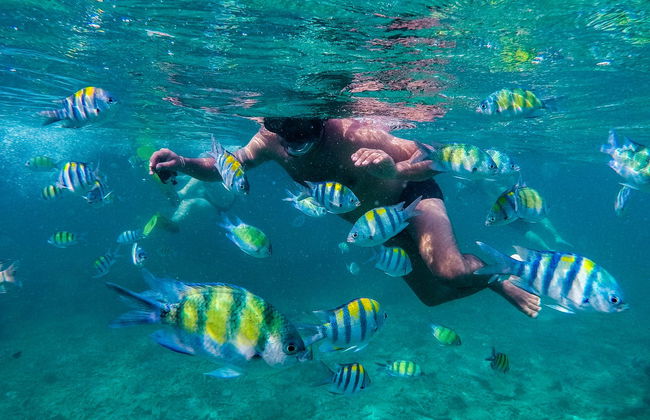 Phi Phi Islands Speedboat Excursion - Photo 6