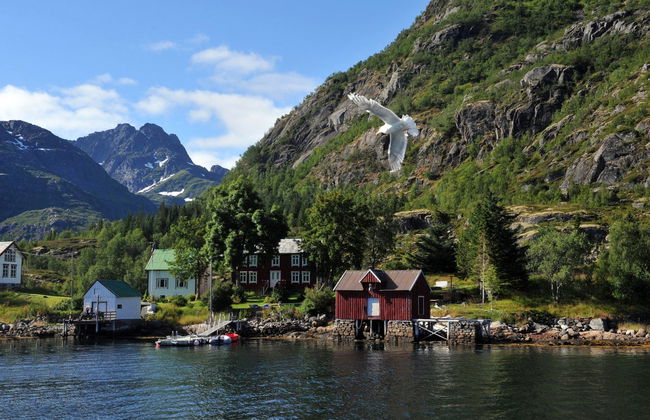 Minicrociera a Trollfjord - Foto 5