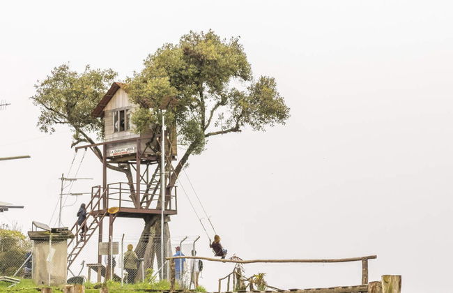 Excursão à Casa da Árvore - Foto 1