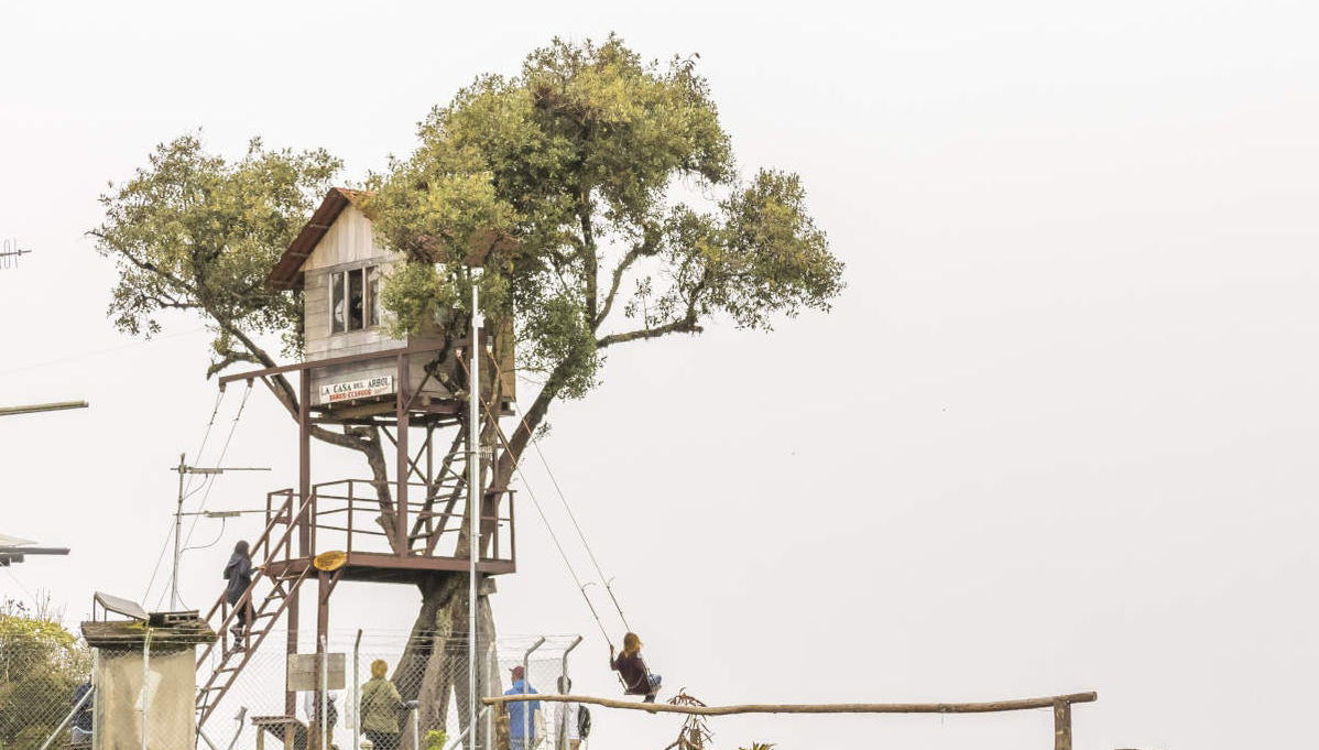 Excursão à Casa da Árvore - Foto 1