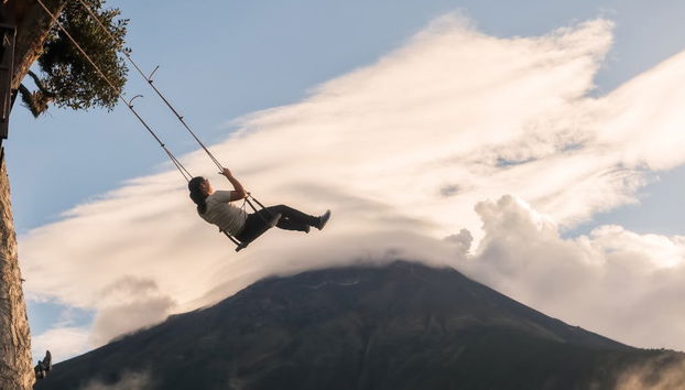 Excursão à Casa da Árvore - Foto 4